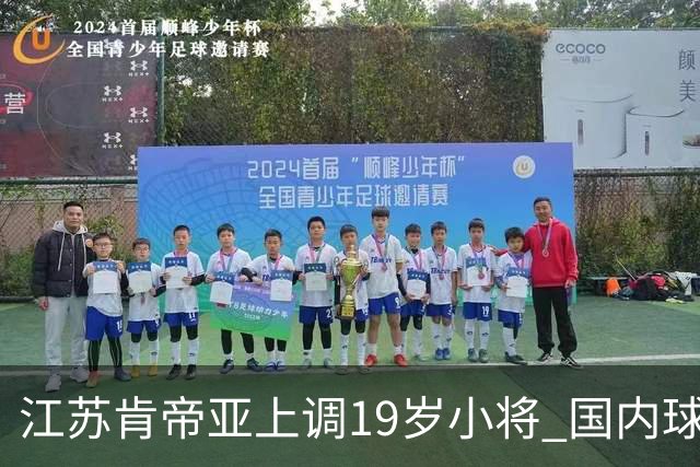 江苏肯帝亚上调19岁小将 国内球员注册达16人